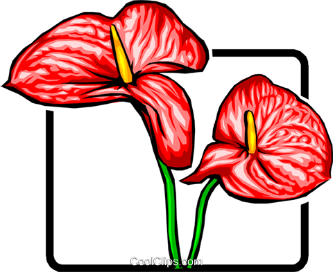 Red Flower Royalty Free Vector Clip Art Illustration - Clip Art (480x393)