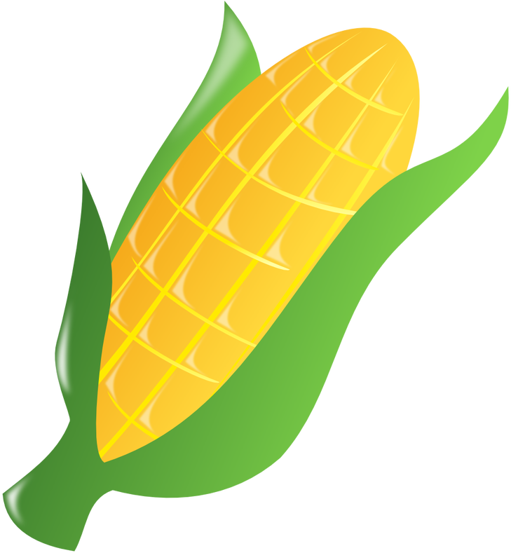 Picture - Corn Clipart Transparent Background (738x800)