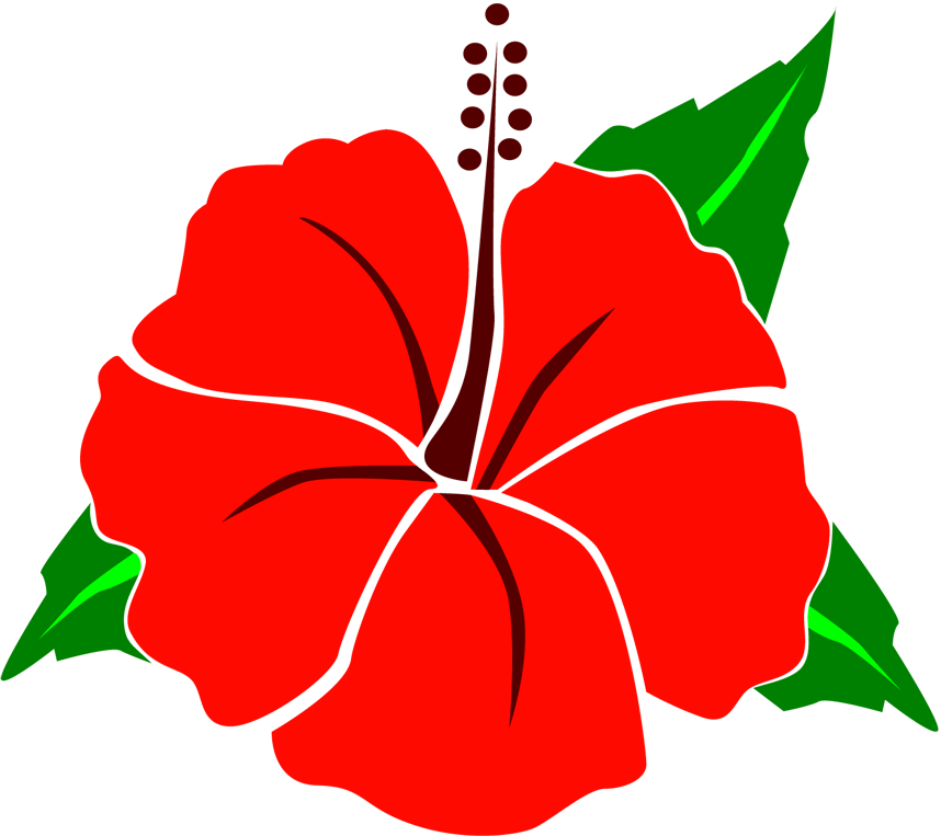 Mayan Garden Club Studies Herbs For Medicinal And Culinary - La Buena Vida (858x763)