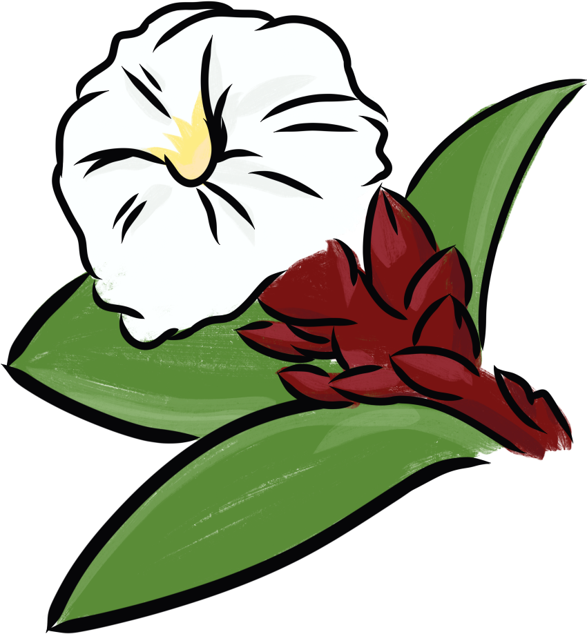 Crepe Ginger - Crepe-ginger (1024x1024)