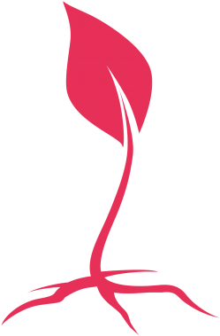 Inspiring Fresh Starts - Inspiring Fresh Starts (400x413)