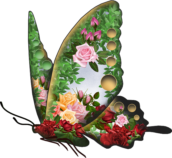 Http - //www - Us Sportszone - Com/garcia Vs Malignaggi/ - Imagens Lindas Para Papel De Parede Do Celular Gifs (571x526)