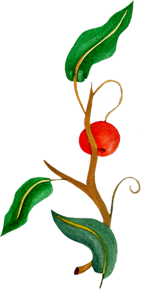 Register Interest - Register Interest (283x565)