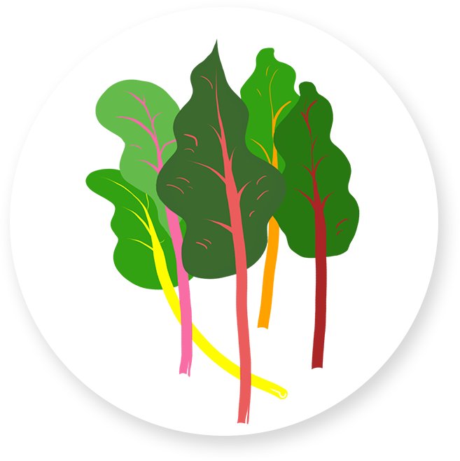 Rainbow Chard - Leaf Vegetable (657x658)