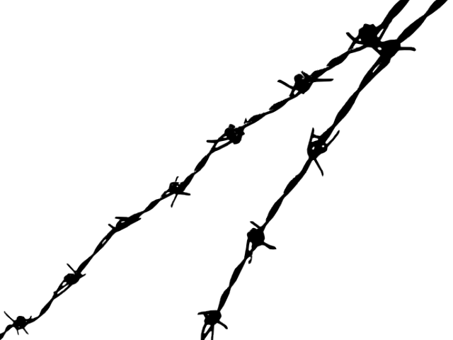 Vector Transparent Library Barbed Wire Clipart Animated - Basic Human Rights: A New Narrative (640x480)