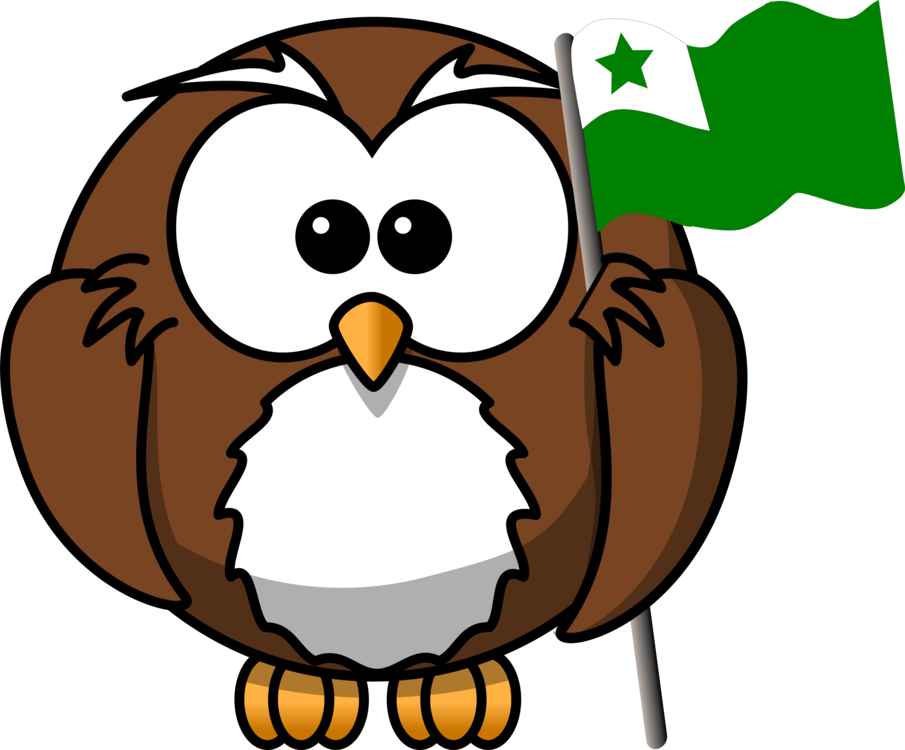 Owl Drawing Cartoon Bird Of Prey - Owl On Book Clipart (905x750)
