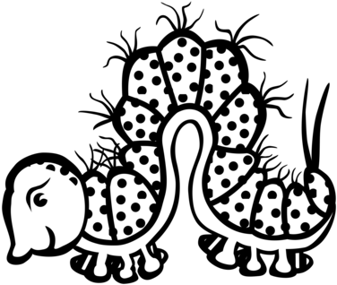 Line Art Drawing Caterpillar Cartoon - Clip Art (397x340)