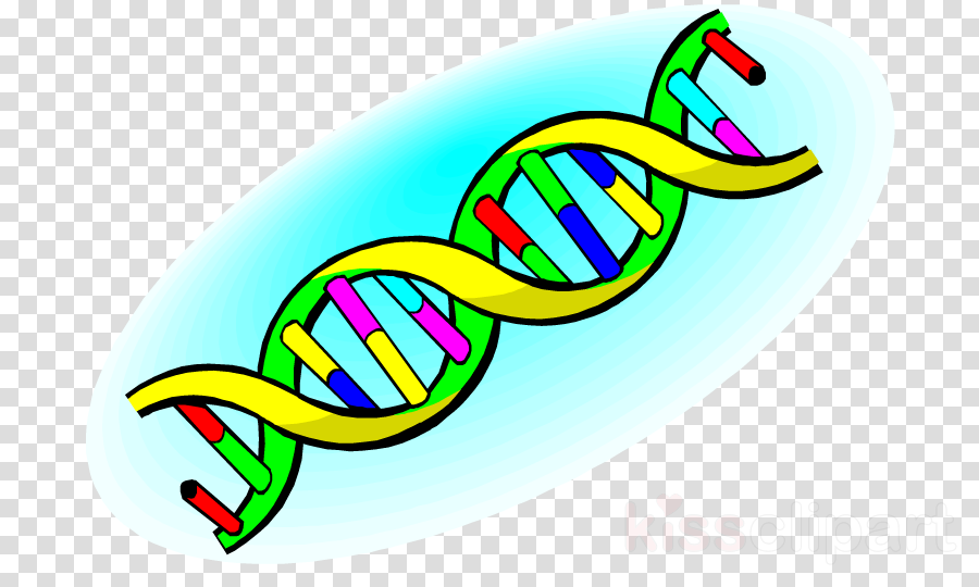 Life Science Clipart Biology Clipart Clip Art - Related To Physical Science (900x540)