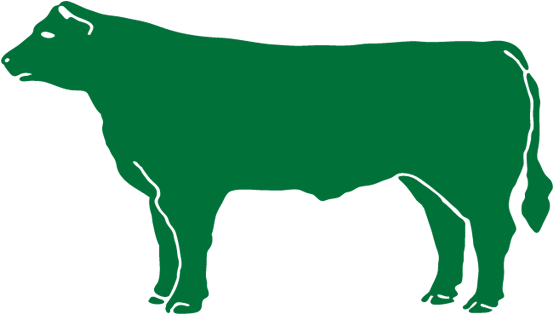 C - E - O - Natural Angus Beef, Llc - Dairy Cow (569x574)