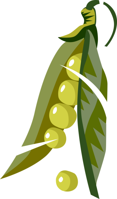 Peas Royalty Free Vector Clip Art Illustration - Peas Royalty Free Vector Clip Art Illustration (413x700)