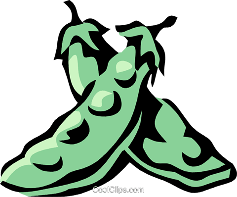 Snow Peas Royalty Free Vector Clip Art Illustration - Snow Peas Royalty Free Vector Clip Art Illustration (480x398)