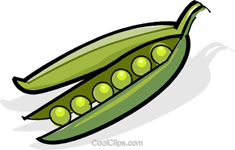 Peas Royalty Free Vector Clip Art Illustration - Clip Art (480x306)