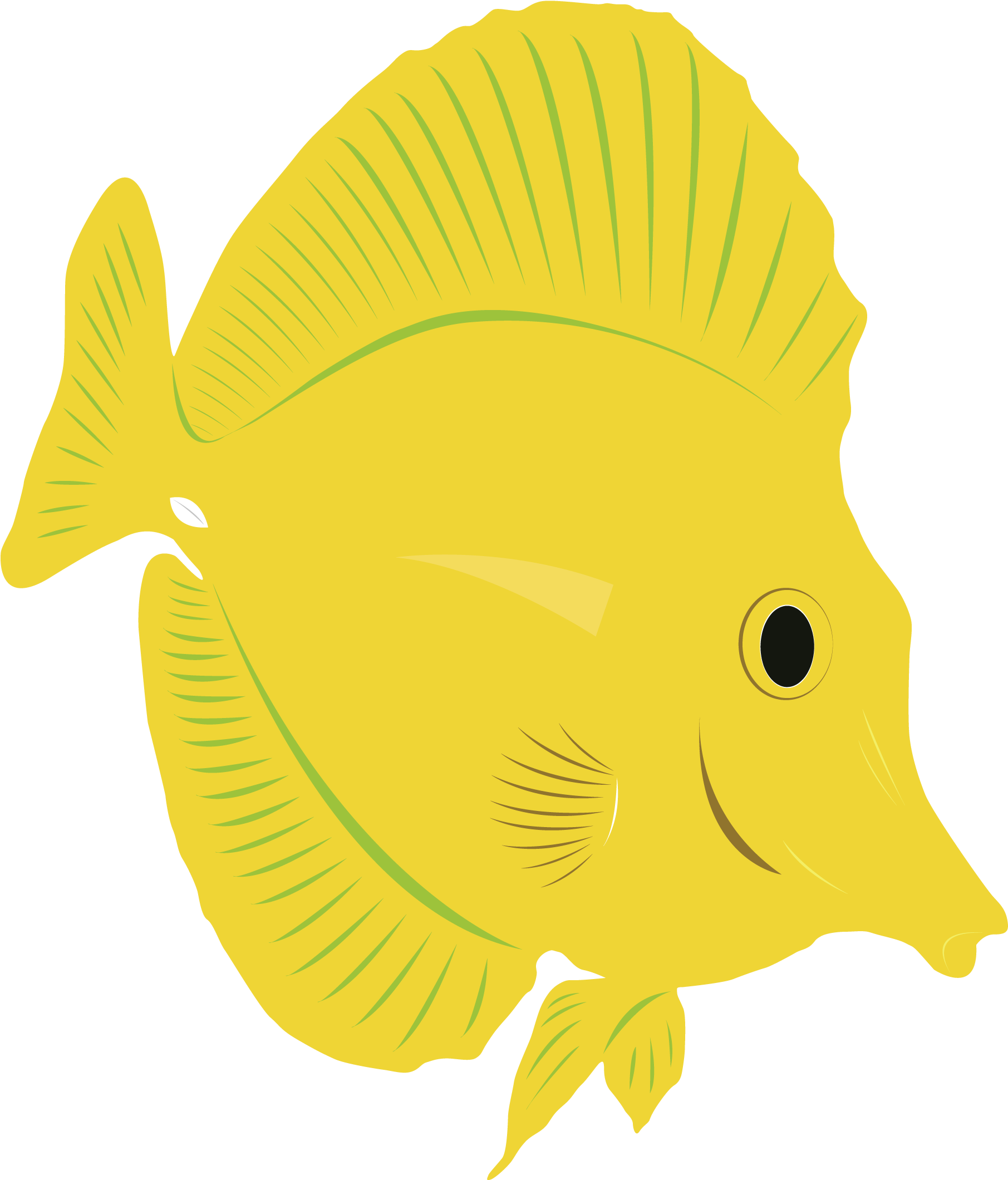 Roach Drawing Tang Fish Jpg Free Download - Recreation (2500x2500)