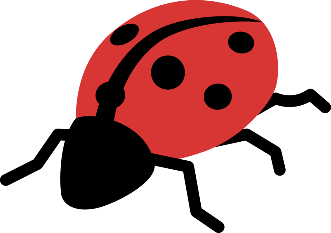 Ladybird Beetle Volkswagen Beetle 2017 Cartoon - Cartoon Ladybird (1064x750)