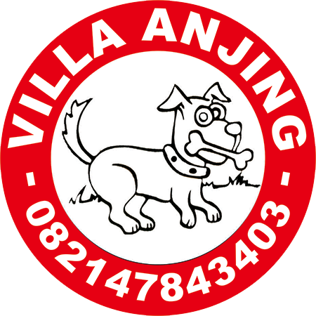 Cozy Village In Town - Shrewsbury Town Fc (450x450)