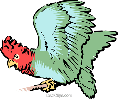 Parrot Royalty Free Vector Clip Art Illustration - Parrot Royalty Free Vector Clip Art Illustration (480x402)