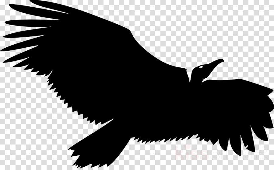 Vulture Clipart Bald Eagle Black Vulture - Dog Logo Transparent Background (900x560)