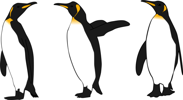 Emperor Penguin Bird King Penguin Gentoo Penguin - Emperor Penguin Clip Art (622x340)