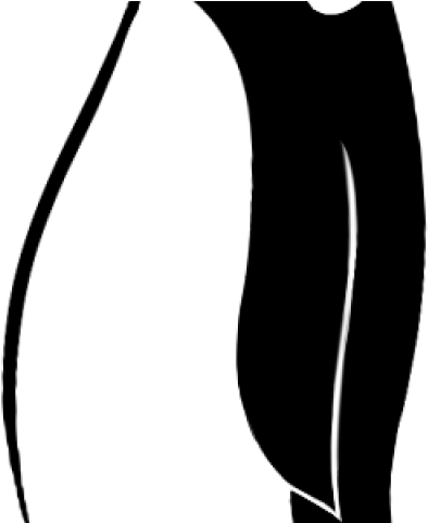 Emperor Penguin Clipart Draw Cartoon - Drawing (640x480)