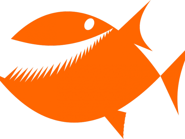 Star Ocean Clipart Fish - Orange Fish Greeting Cards (pk Of 10) (640x480)