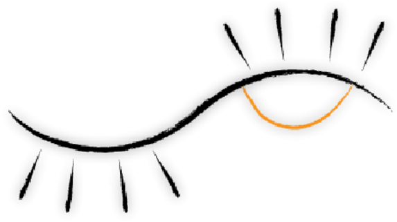 Medical School Student Siyu Xiao Created This Image - Medicine (575x334)