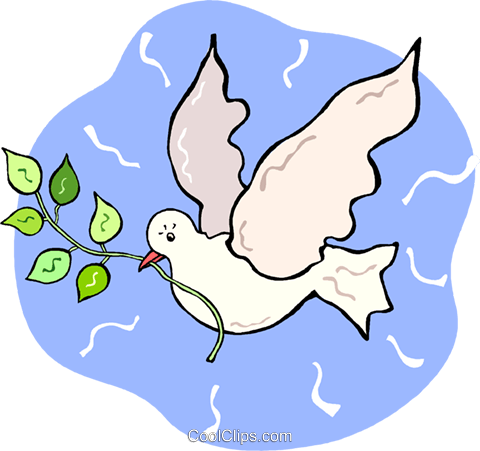 White Dove With An Olive Branch Royalty Free Vector - Illustration (480x451)