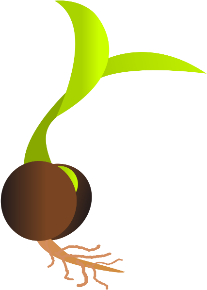 Sprouting Seed Germination Clip Art - Seed Png (600x600)