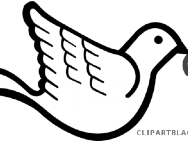 Dove With Olive Branch (640x480)