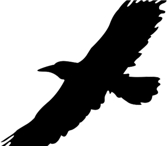 Confessing Our Sins To Another Person Seems So Foreign - Sign (640x480)