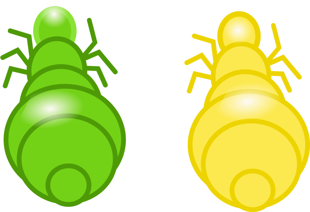 Line Shoe Fruit - Fly (1073x750)