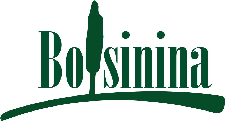 Casa Bolsinina Casa Bolsinina - Constantina, Seville (1107x491)