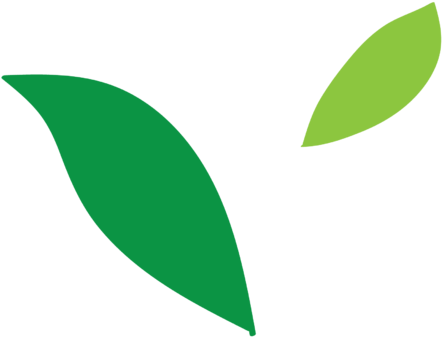 Cccccc-proofread And Edit Copy Of Up To 1000 Words - Editing (475x374)