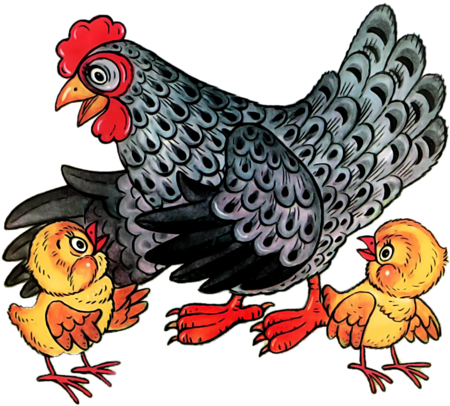 Hen And Chicks * - Chicken (500x412)