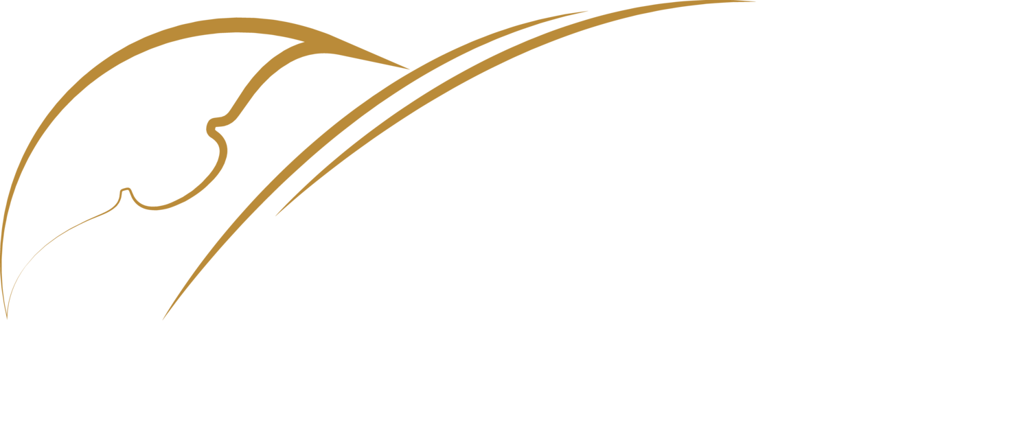 Piece Of String Png Svg Transparent Download - Biography (1500x644)