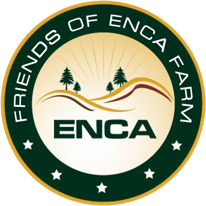 Traffic Sign (800x718)