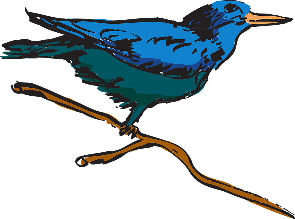 Feathers Clipart Creative - Bird Perched Clipart (960x712)