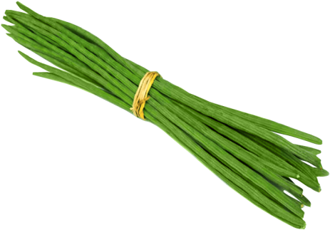 Clip Art Images - Drumsticks Vegetables (500x370)