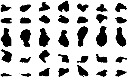 Examples From The Chicken Pieces Dataset - Silhouette (462x267)