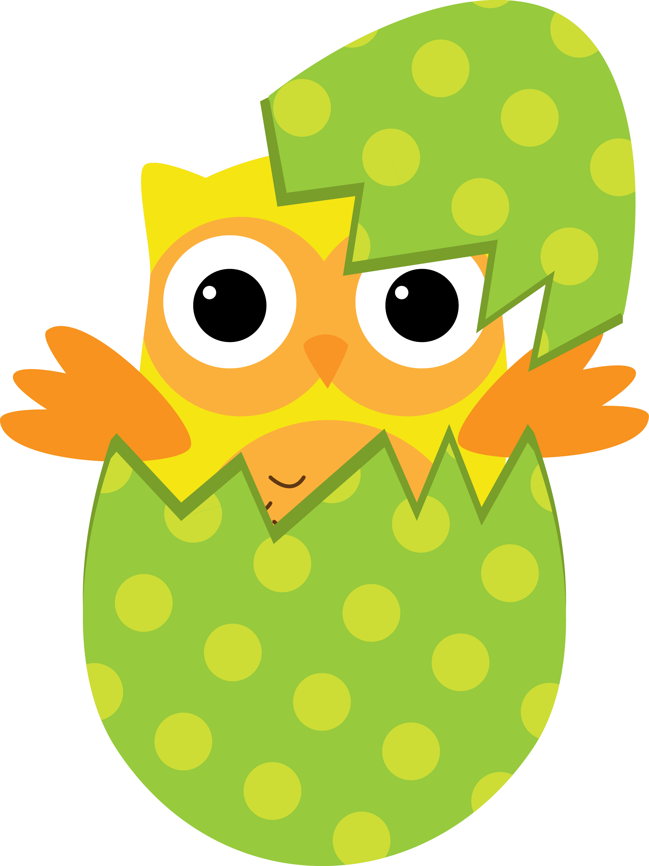 Photo By Daniellemoraesfalcao Minus - Hibou Paques (2248x3000)