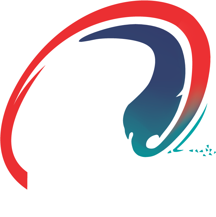 Rugby Americas North Logo (792x804)