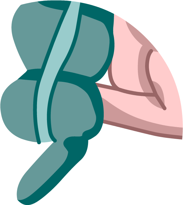 Appendix - Brainpop Appendix (880x880)