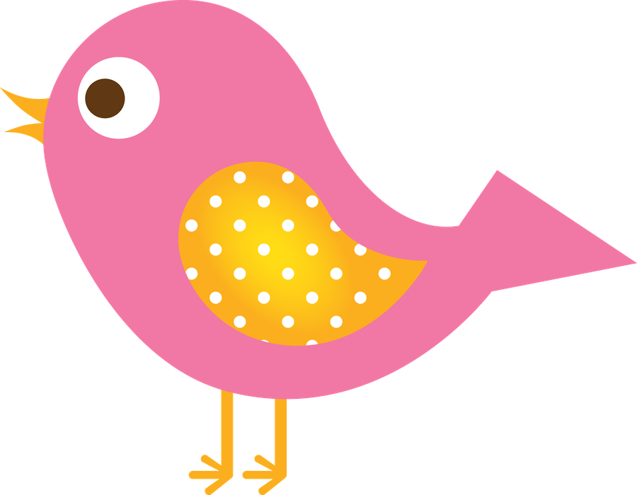 Baby Chickspatchclip - Bird (900x700)