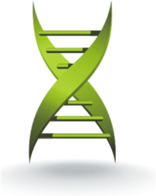 Adolescent Brain Development Impacts Mental Health, - Medical Xpress (713x713)