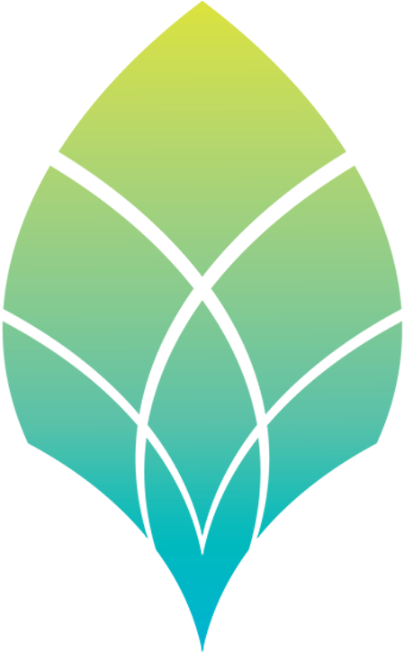 Adolescents By Fostering Collaboration Between Professionals, - Lotus Clinical Research, Llc (620x763)