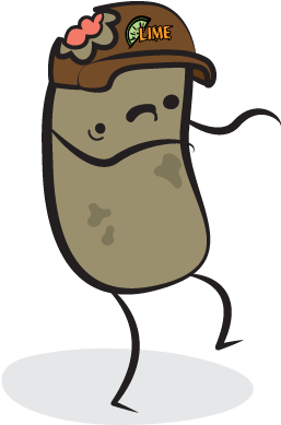 Beans Vector Illustrated Clip Art Free Download - Clip Art (495x495)