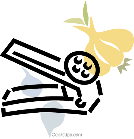 Garlic Press With Garlic Cloves Royalty Free Vector - Garlic Press With Garlic Cloves Royalty Free Vector (463x480)