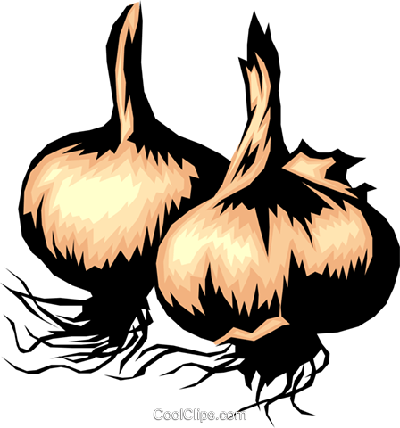 Garlic Cloves Royalty Free Vector Clip Art Illustration - Onion Clip Art (448x480)