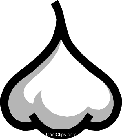 Garlic Royalty Free Vector Clip Art Illustration - Garlic Royalty Free Vector Clip Art Illustration (421x480)