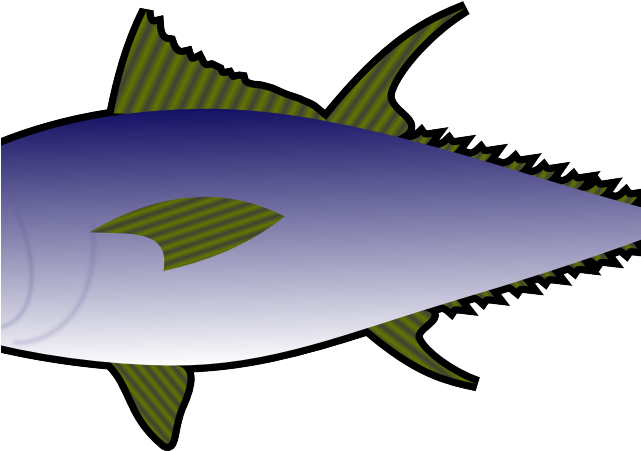 Sardines Clipart Atlantic - Tuna Fish Clipart (640x480)