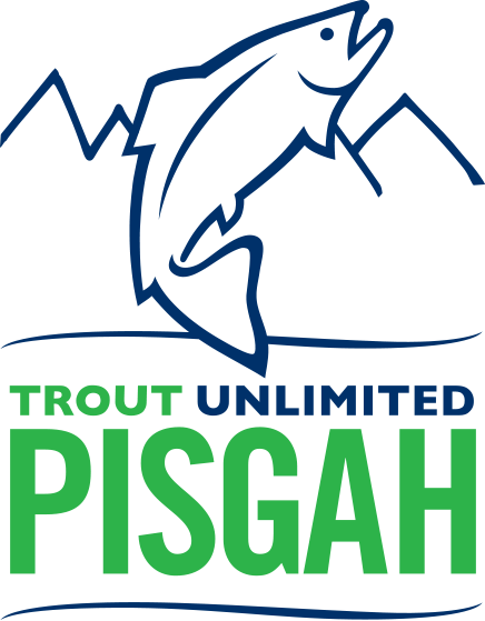 Our Mission - Trout Unlimited (436x559)